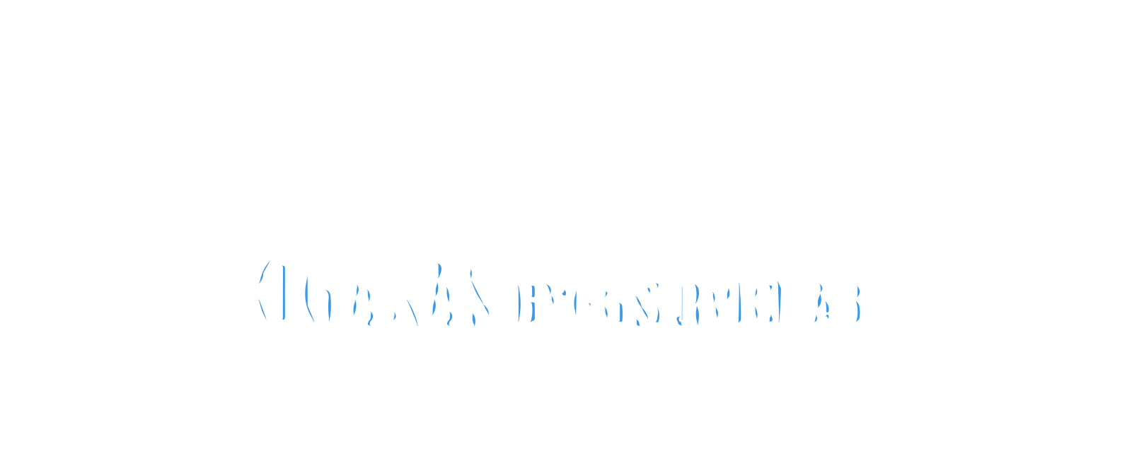 Höganäs Byggservice AB